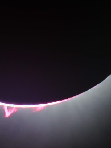 2024 solar eclipse - closeup of solar prominences