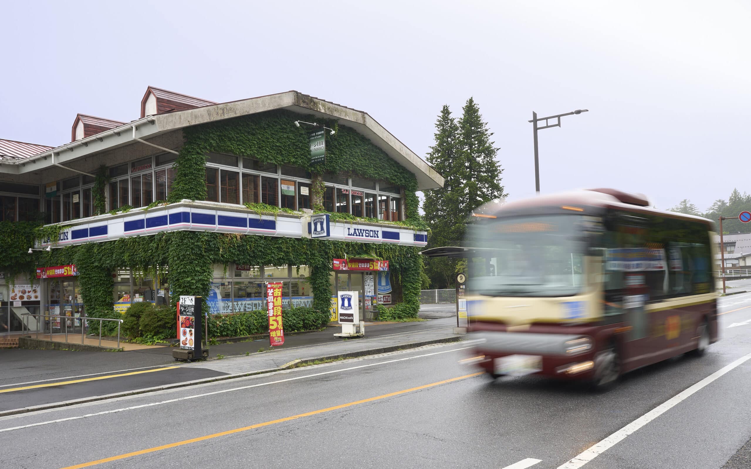 Lawson Ivy and Nikko World Heritage Bus in Nikko